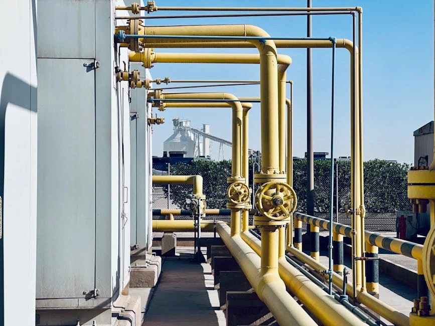 Petrochemical Plant