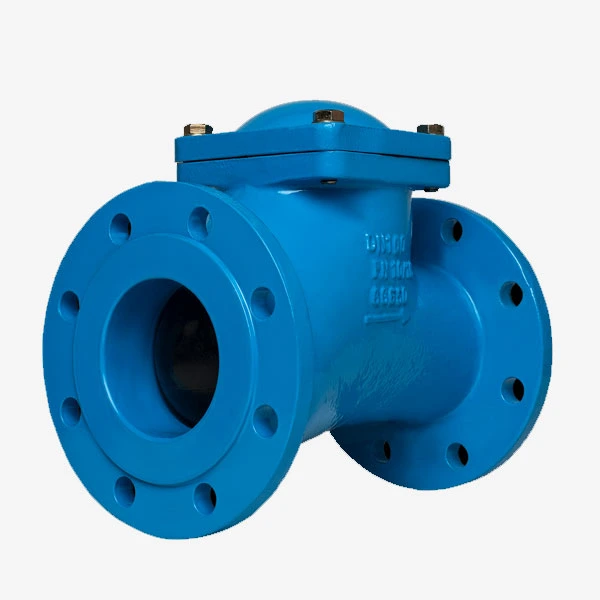 Check Valves